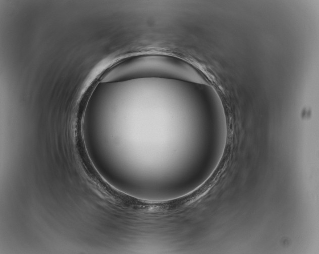X0000094430056200711081235