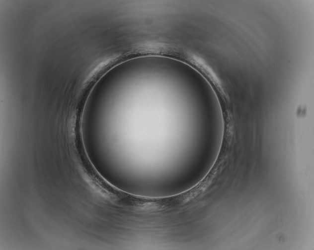 X0000094430058200711081235