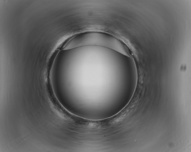 X0000094430060200711081235