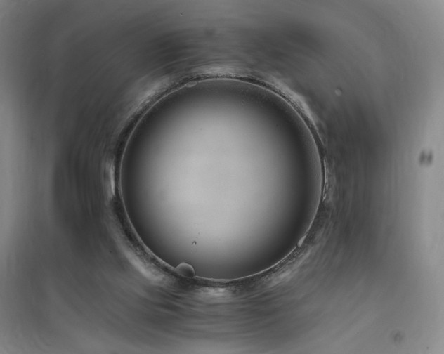 X0000094430061200711081235