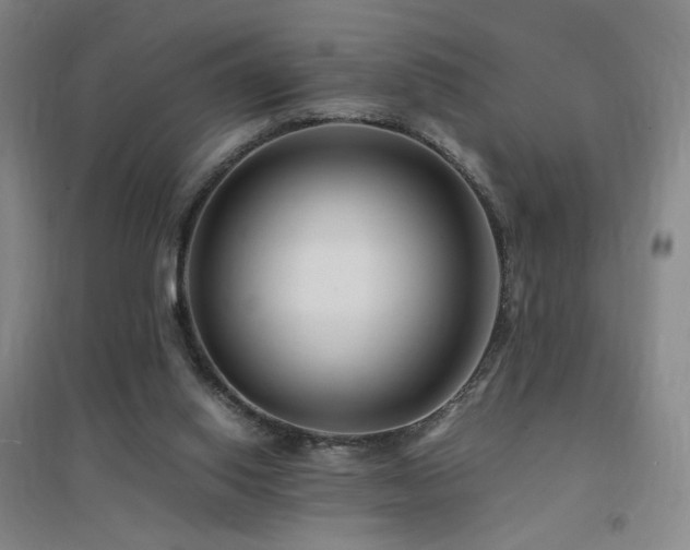X0000094430062200711081235