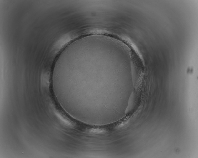 X0000094430063200711081235