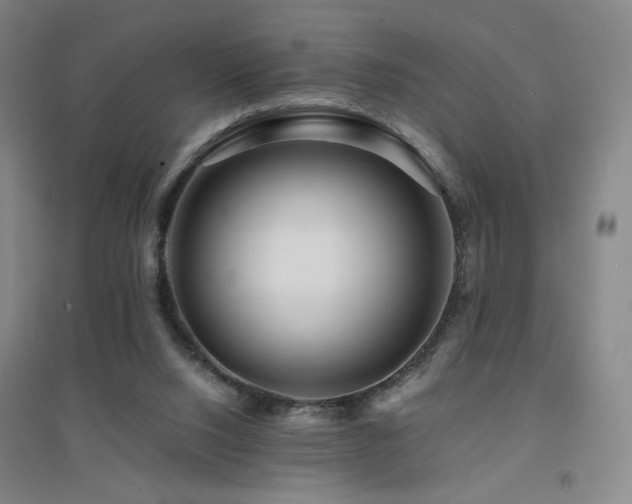 X0000094430064200711081235