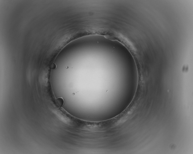 X0000094430065200711081235