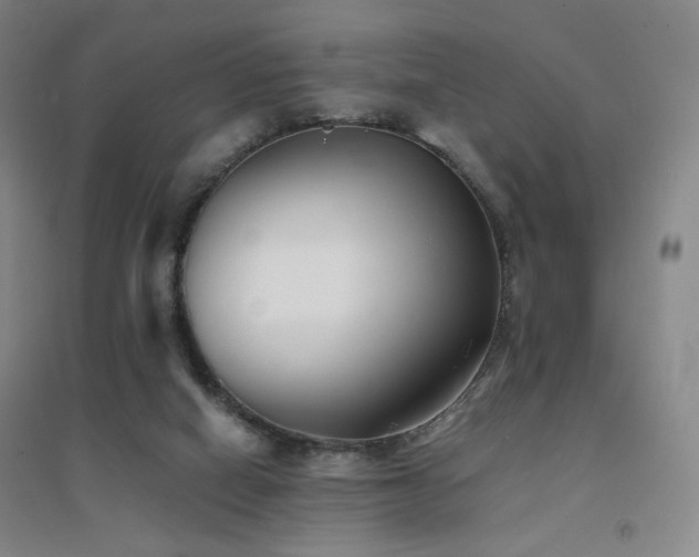 X0000094430066200711081235