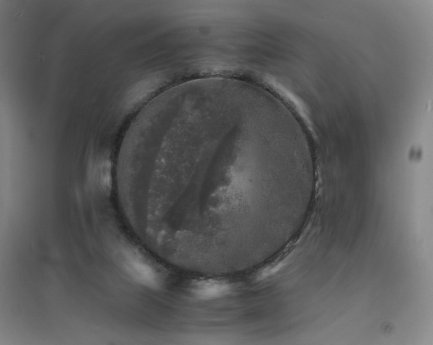 X0000094430067200711081235