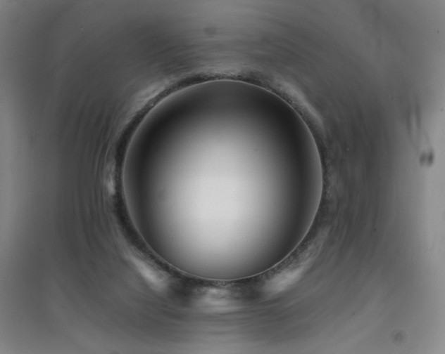 X0000094430068200711081235