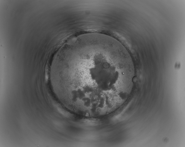 X0000094430069200711081235