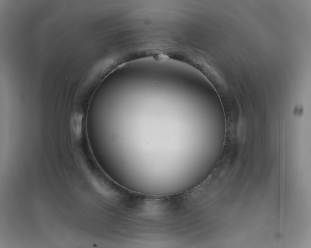 X0000094430070200711081235