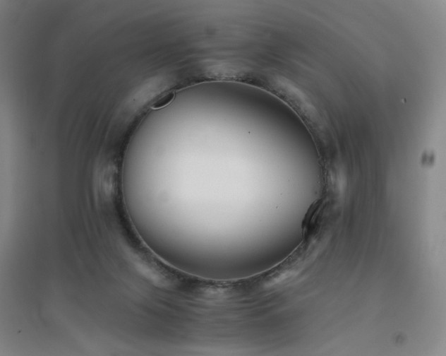 X0000094430071200711081235