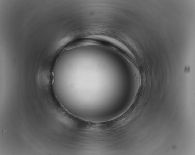 X0000094430072200711081235