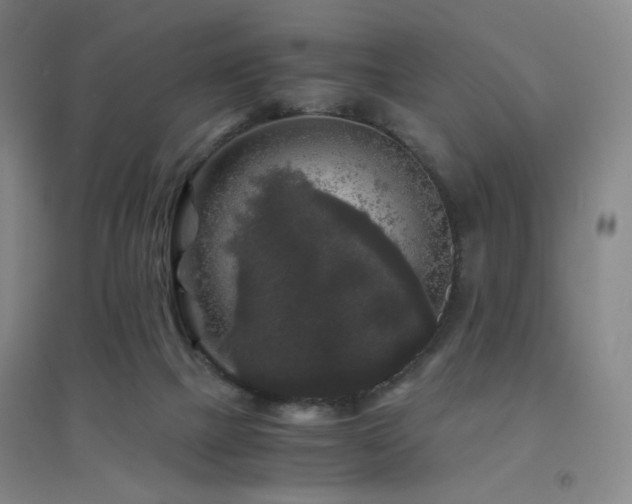 X0000094430073200711081235