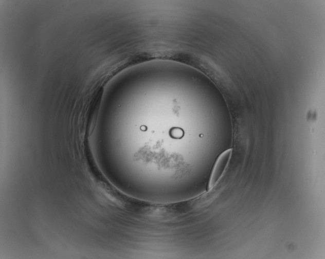 X0000094430074200711081235