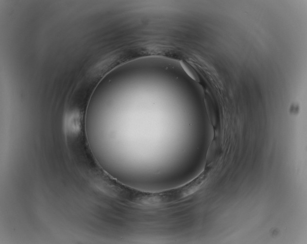 X0000094430075200711081235