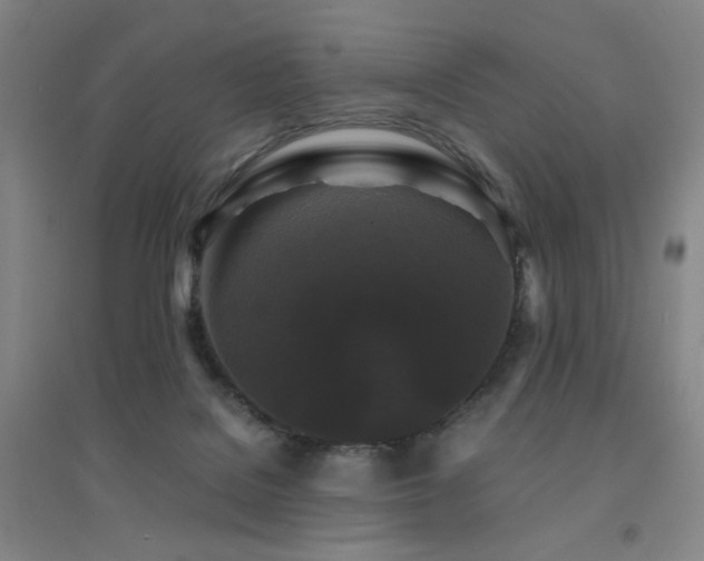 X0000094430076200711081235