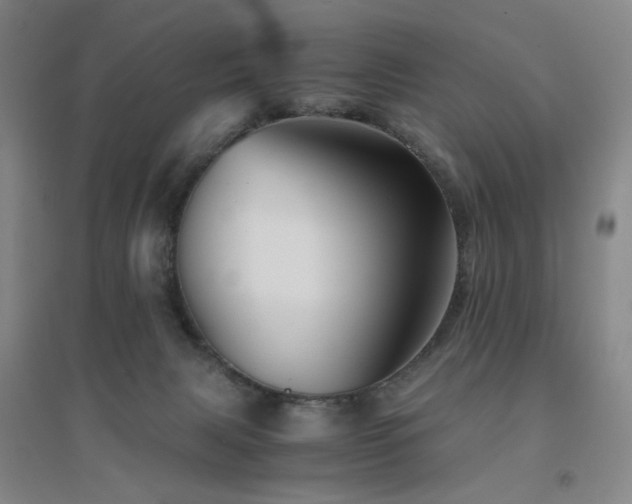 X0000094430079200711081235