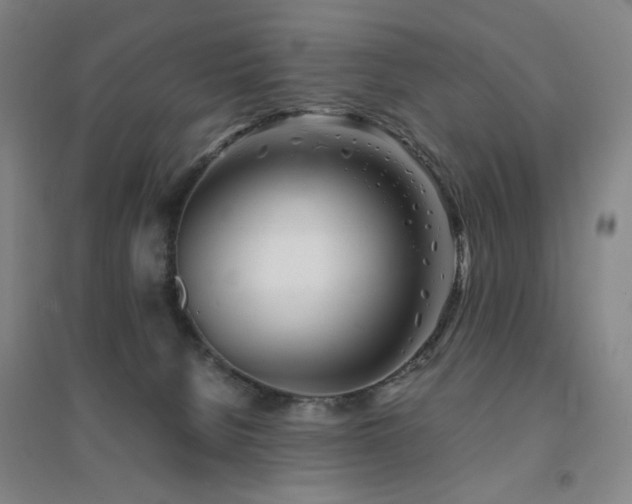 X0000094430080200711081235