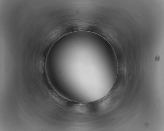 X0000094430082200711081235