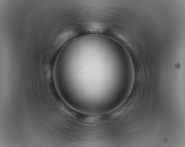X0000094430084200711081235