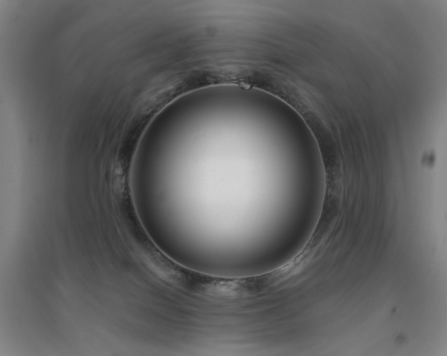 X0000094430086200711081235