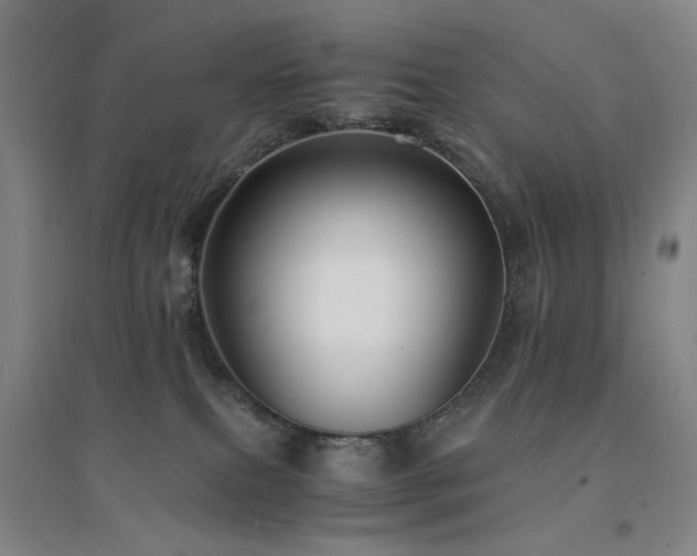 X0000094430087200711081235