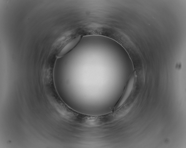 X0000094430088200711081235