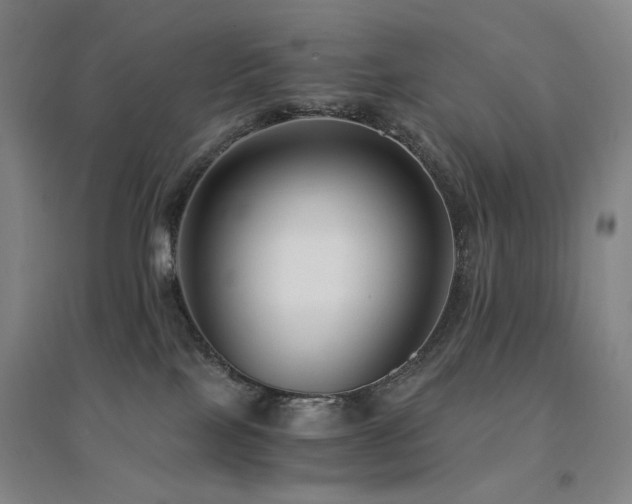 X0000094430089200711081235