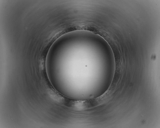 X0000094430090200711081235