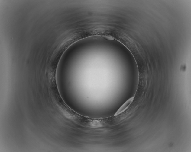 X0000094430091200711081235