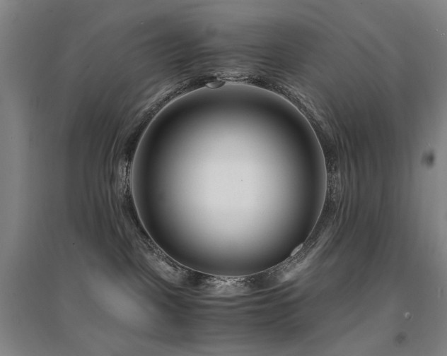 X0000094430093200711081235
