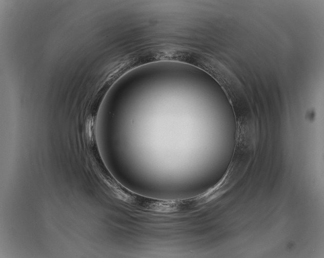 X0000094430094200711081235