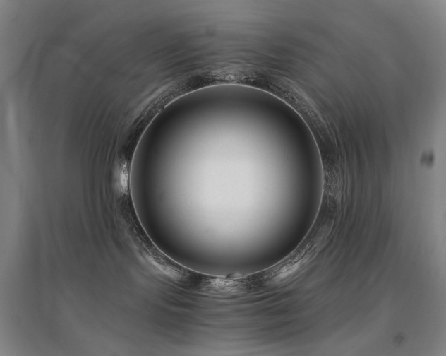 X0000094430095200711081235
