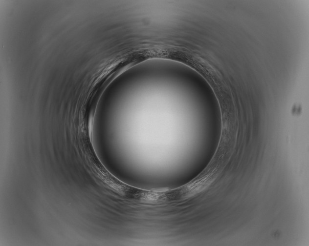 X0000094430096200711081236