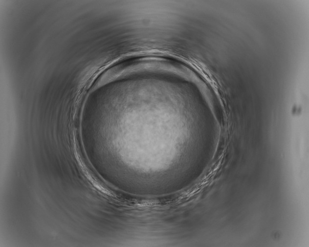X0000094430097200711081235