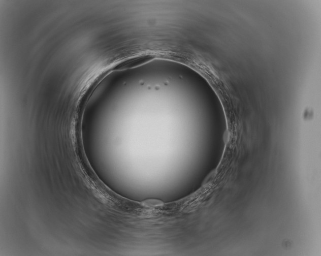 X0000094430098200711081235