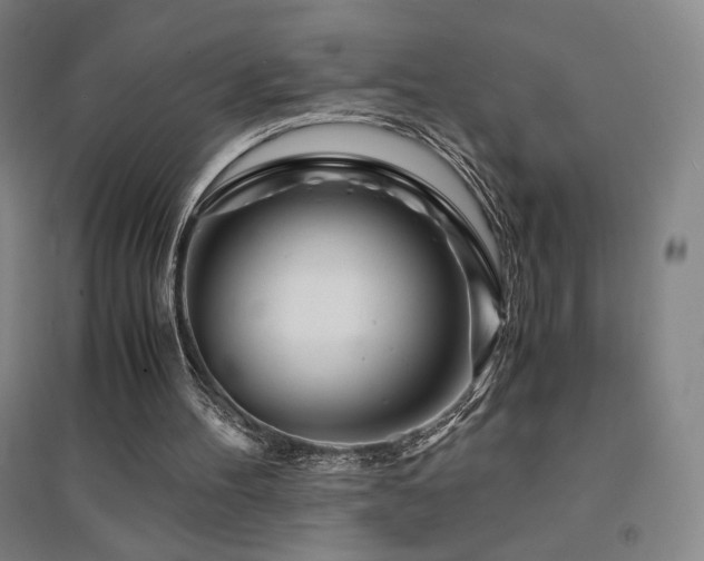X0000094430100200711081235