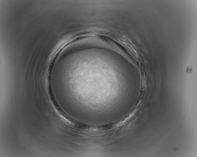 X0000094430101200711081235