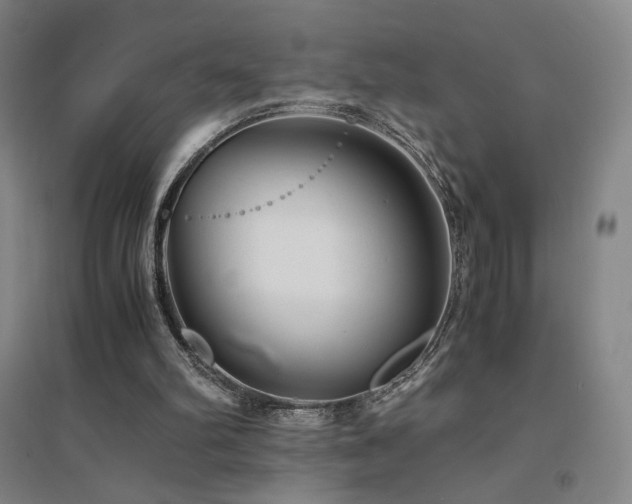 X0000094430102200711081235