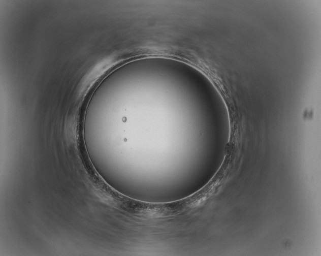 X0000094430103200711081235