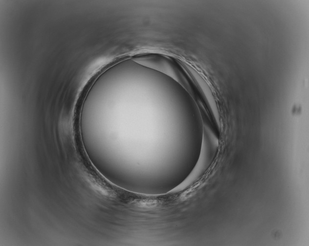 X0000094430104200711081235