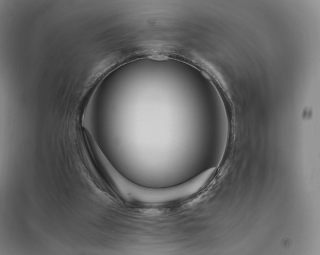 X0000094430105200711081235