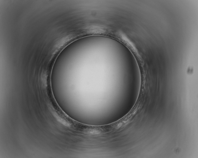 X0000094430106200711081235