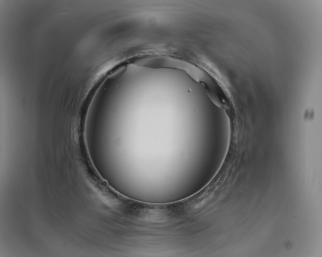 X0000094430107200711081235