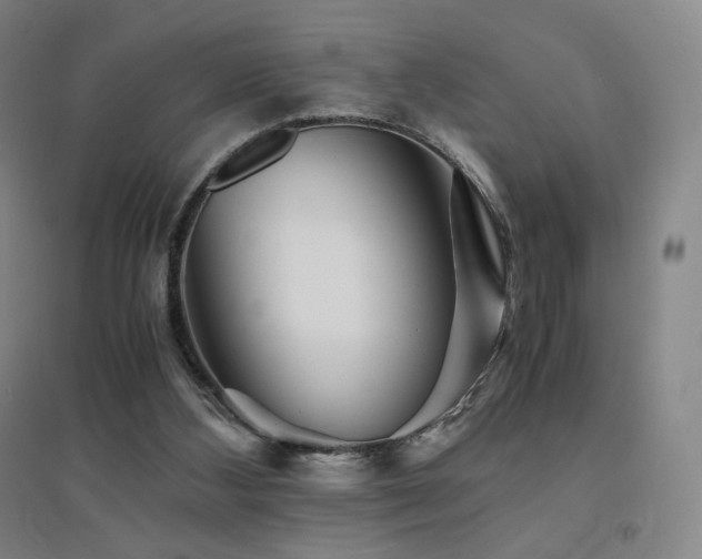X0000094430108200711081235