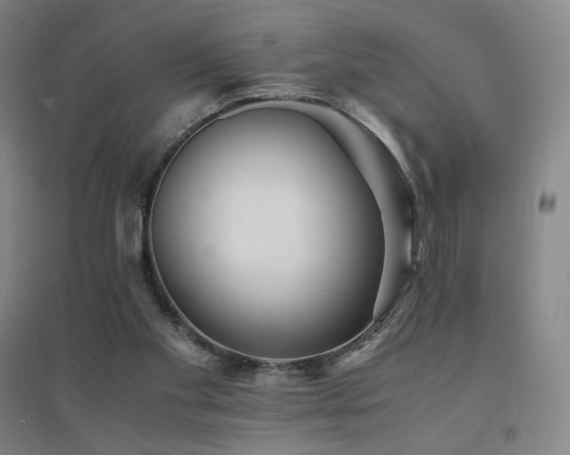X0000094430109200711081235