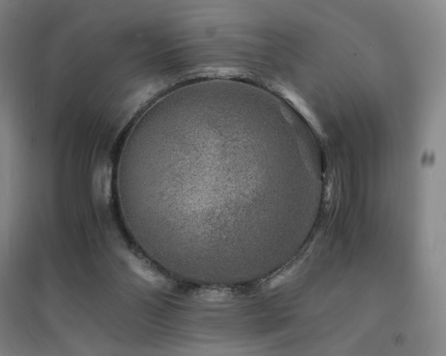 X0000094430110200711081235