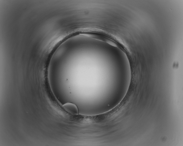 X0000094430111200711081235