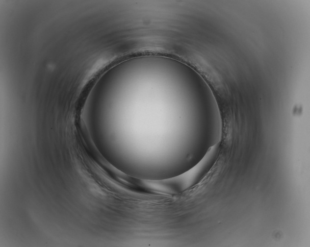 X0000094430112200711081235