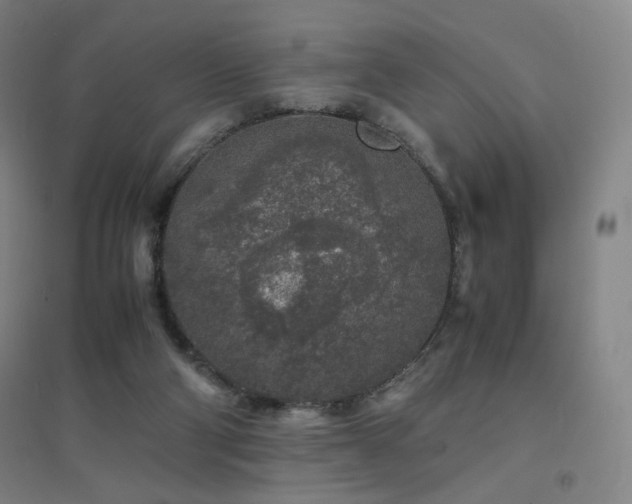 X0000094430114200711081235