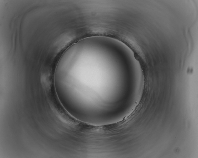 X0000094430116200711081235